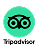 tripadvisor